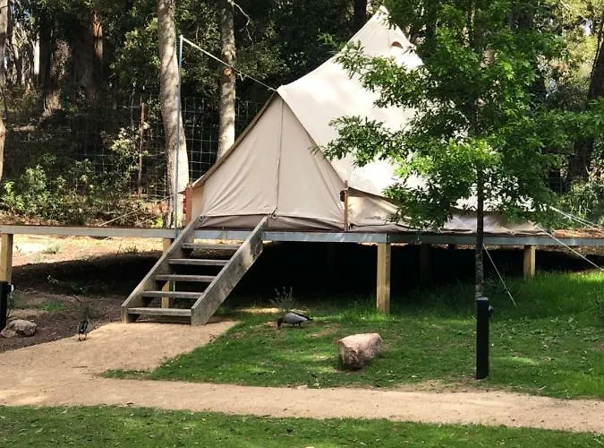 Garden Beds Glamping