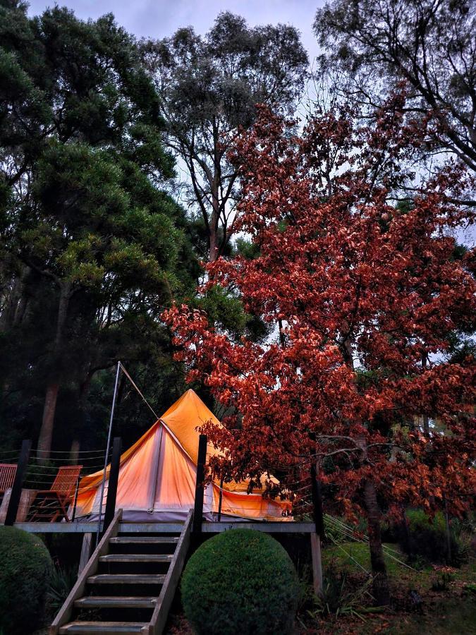 Garden Beds Glamping Luxury tent