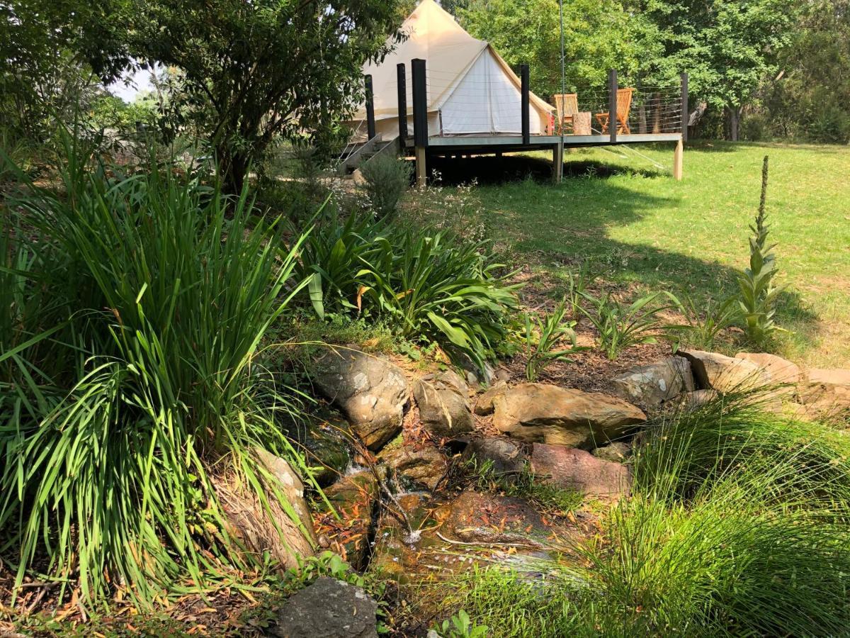 Luxury tent Garden Beds Glamping *