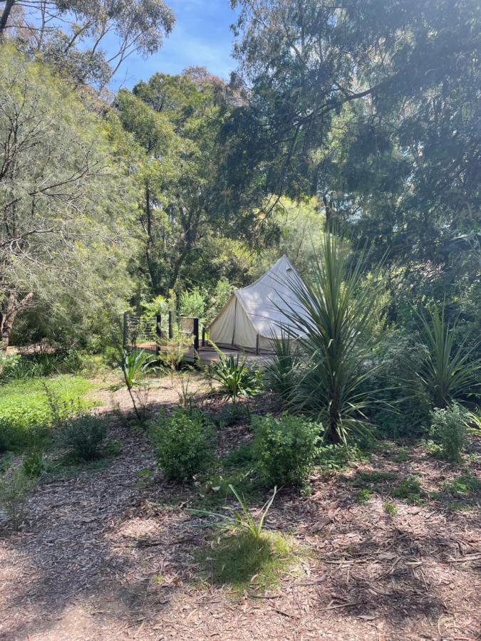 Garden Beds Glamping Blackwood