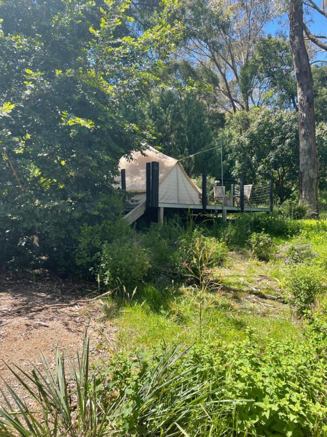 Luxury tent Garden Beds Glamping Blackwood