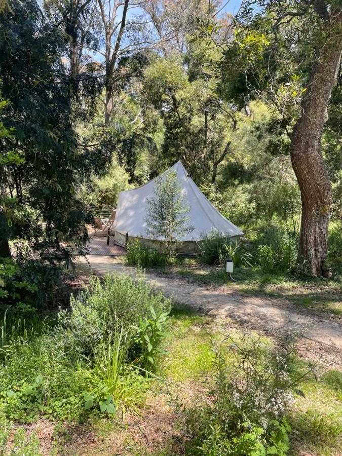Luxury tent Garden Beds Glamping *