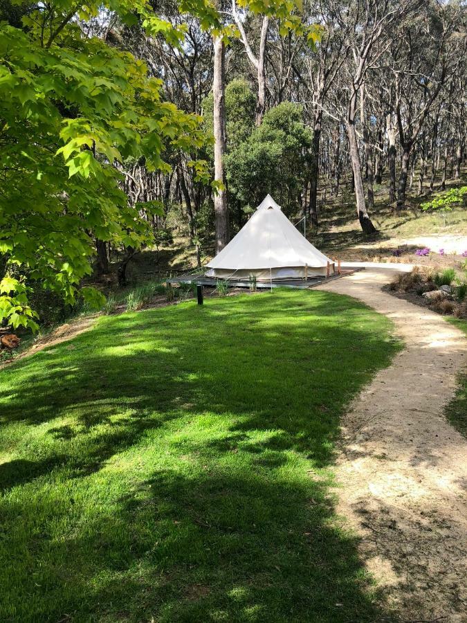 Garden Beds Glamping Luxury tent Blackwood