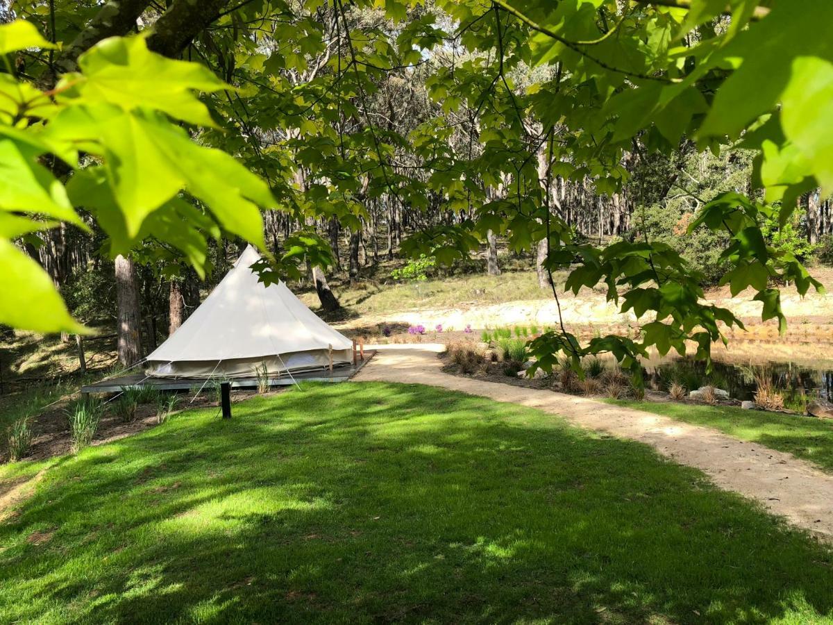 Garden Beds Glamping Luxury tent *